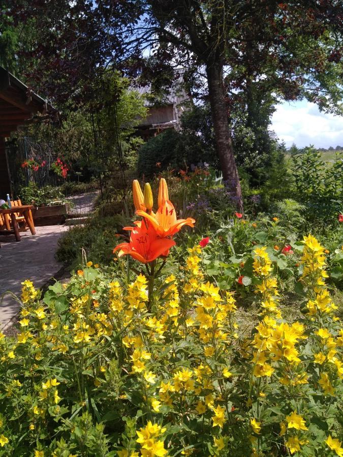 Chalet Le Paradou Adults Only Lessive Luaran gambar