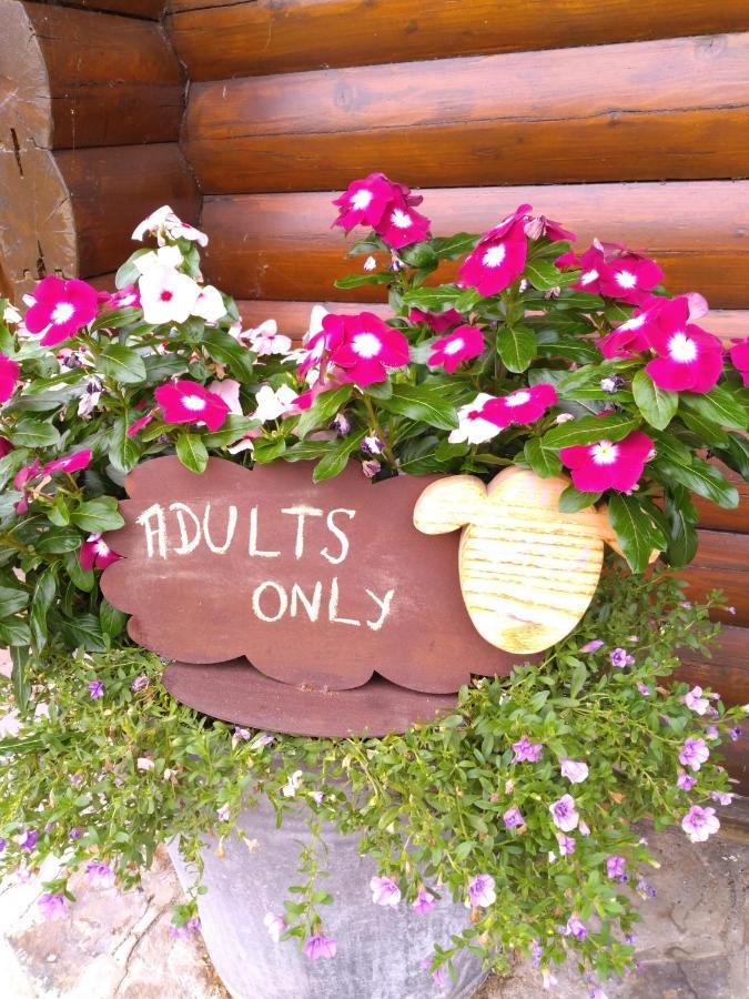 Chalet Le Paradou Adults Only Lessive Luaran gambar